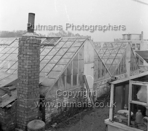 Ref 2715 Naze Nurseries c1950