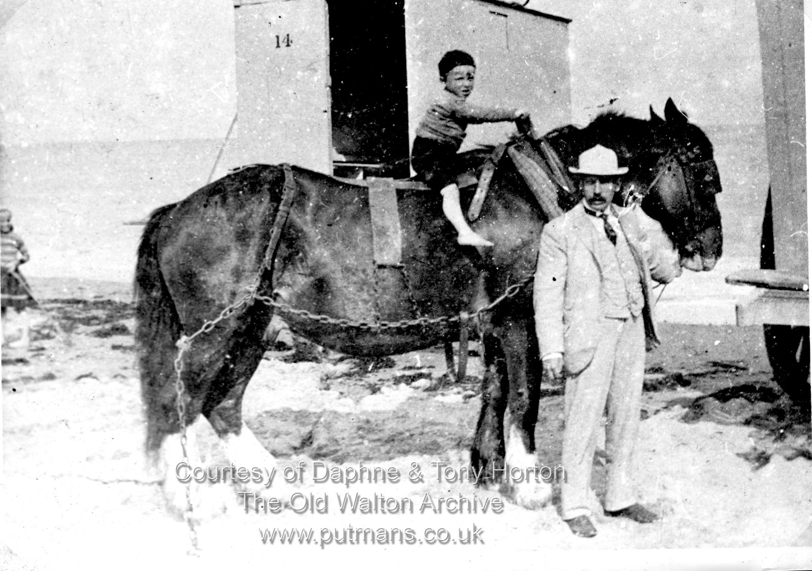 Carter Stephen horse & bathing machine Ref 3068